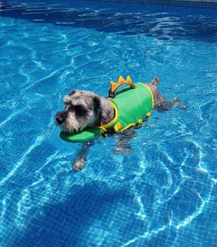 Salvato letteralmente in mare! La maniglia è pazzesca.