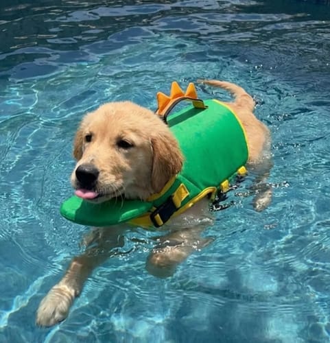 Ottimo acquisto per il mare